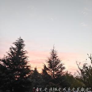 激烈床震大尺度
